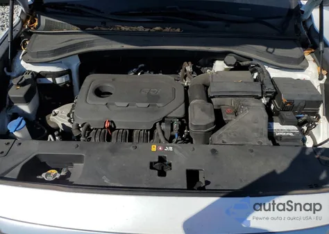 2019 Hyundai Santa Fe Limited from USA, damaged, VIN 5NMS53AD4KH030845